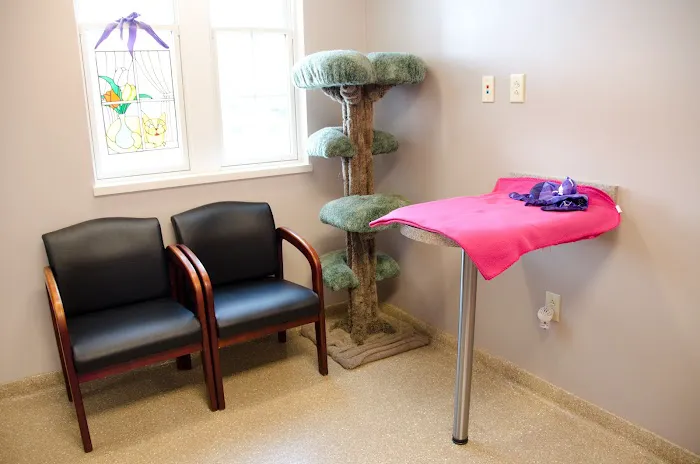 Animal Medical Center of Middletown Picture 7