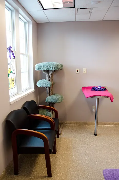 Animal Medical Center of Middletown Picture 5