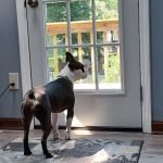 Eastpoint Veterinary Clinic