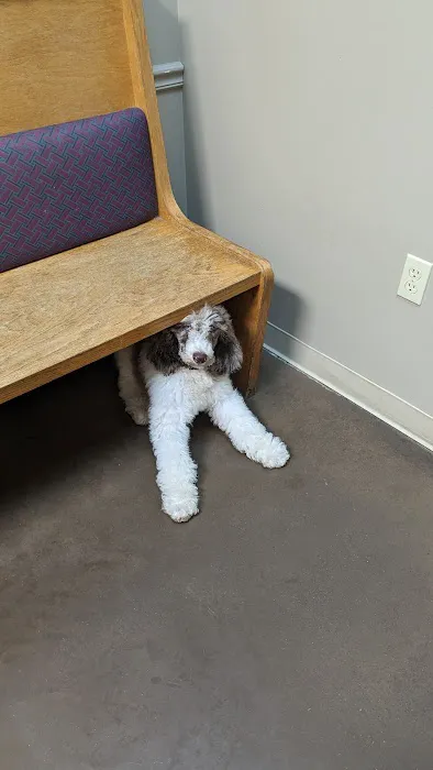 Eastpoint Veterinary Clinic Picture 9