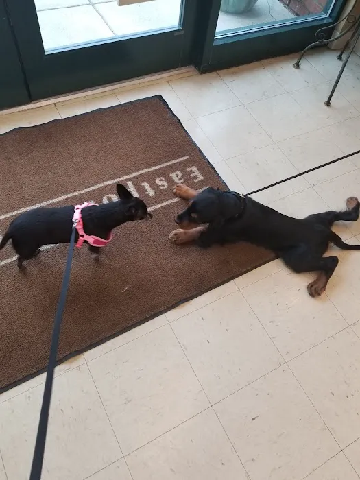 Eastpoint Veterinary Clinic Picture 10