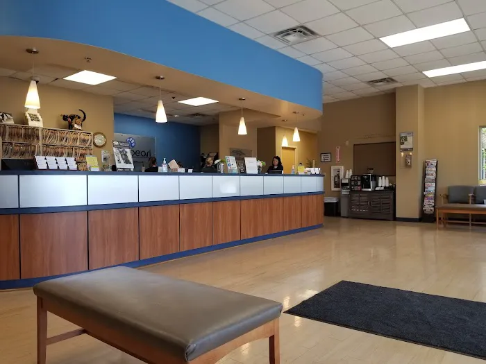 CVCA Cardiac Care For Pets Picture 5