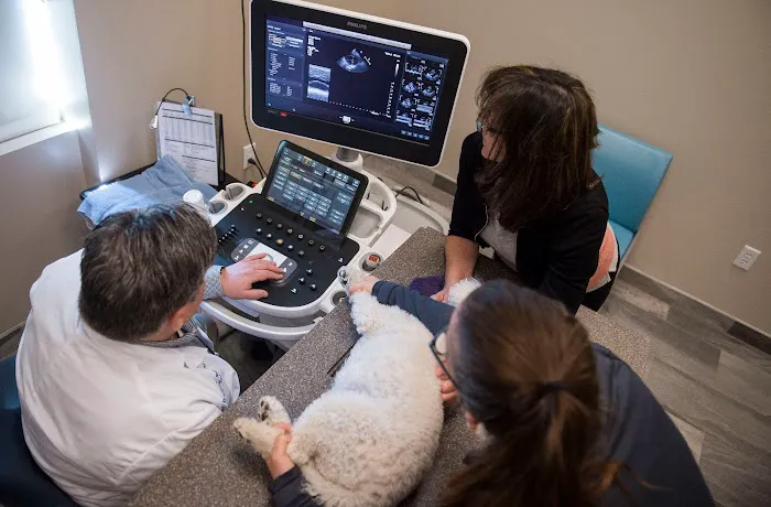 CVCA Cardiac Care For Pets Picture 6