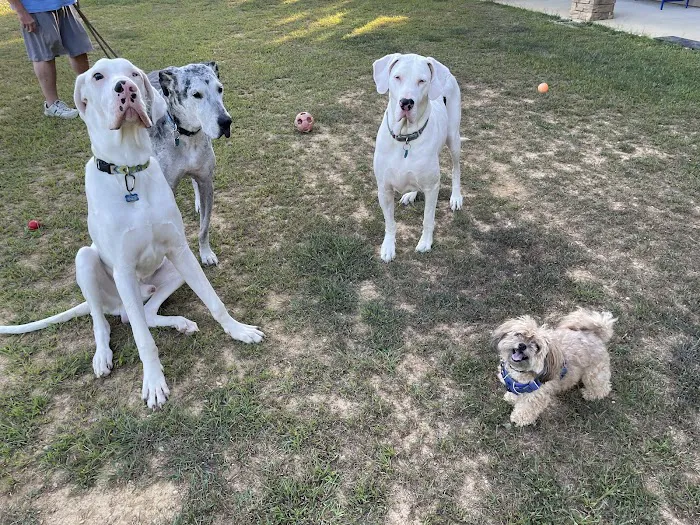 Pewee Valley Veterinary Center Picture 8