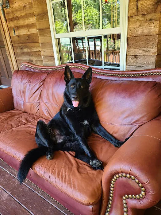 DownHome Veterinary Clinic, LLC Picture 8
