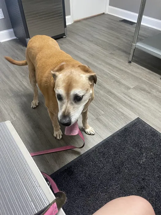 Smith Animal Clinic Picture 2