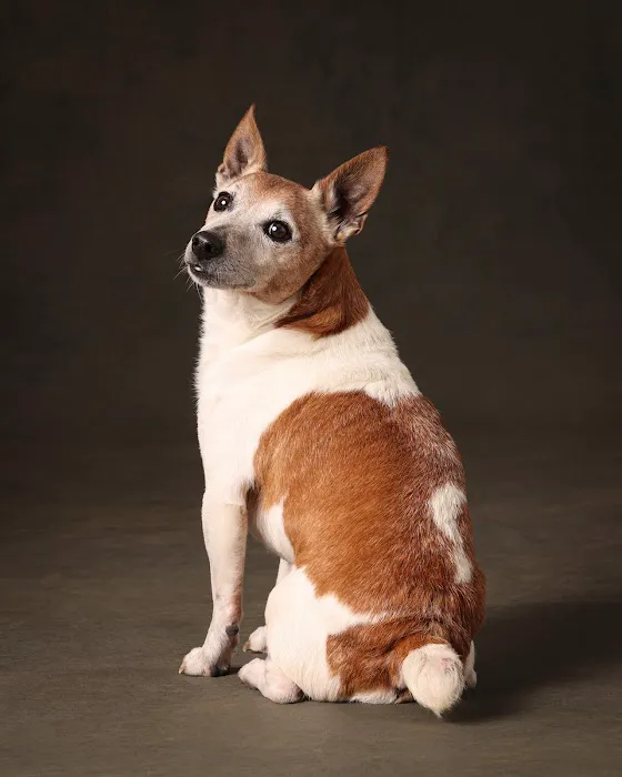 Smith Animal Clinic Picture 5