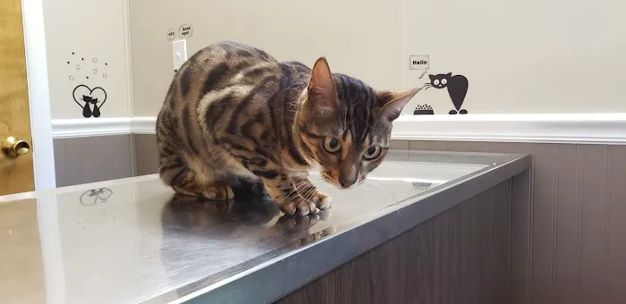 Smith Animal Clinic Picture 6