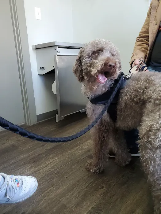 Elk Creek Animal Hospital of Bullitt County Picture 1