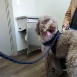 Elk Creek Animal Hospital of Bullitt County