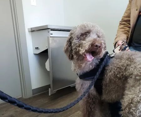 Elk Creek Animal Hospital of Bullitt County