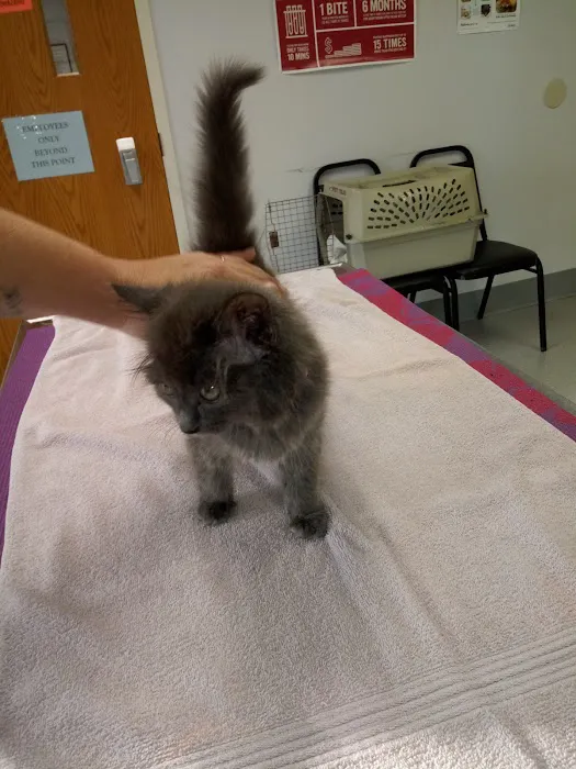 Humane Fort Wayne Spay/Neuter & Wellness Clinic Picture 9