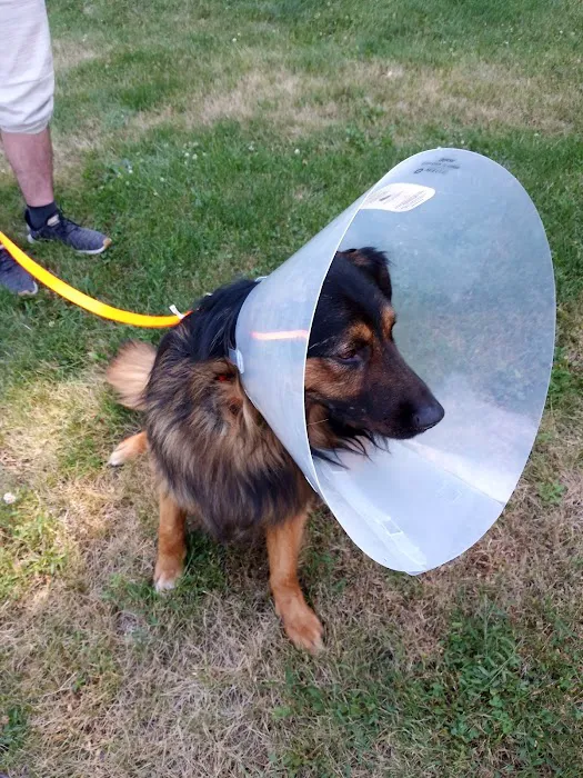 Humane Fort Wayne Spay/Neuter & Wellness Clinic Picture 6