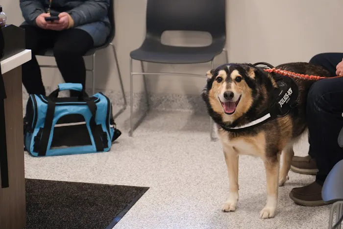 Humane Fort Wayne Clinic Plus Picture 3