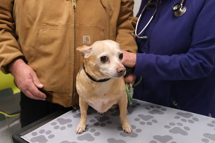 Humane Fort Wayne Clinic Plus Picture 1