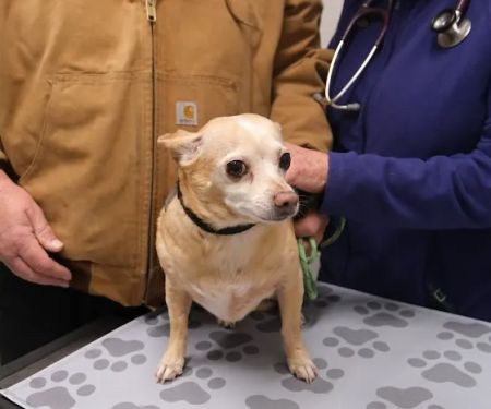 Humane Fort Wayne Clinic Plus