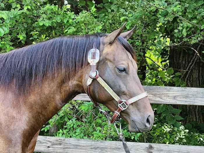 Countryside Animal Clinic Picture 10