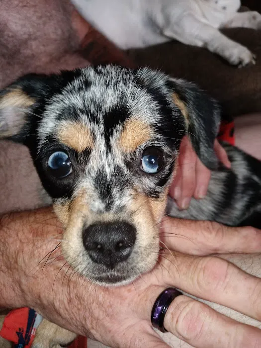 Hillcrest Vet Clinic Picture 1