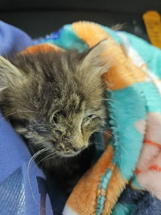 Northwest Veterinary Hospital Picture 10