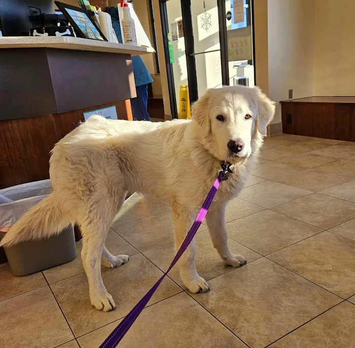 Fort Wayne Pet Hospital Picture 1
