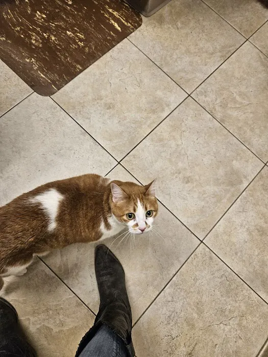 Fort Wayne Pet Hospital Picture 6
