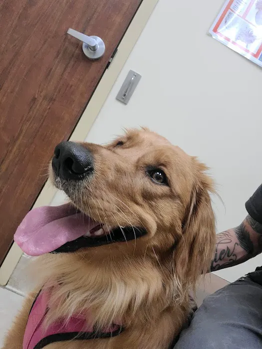 Fort Wayne Pet Hospital Picture 7