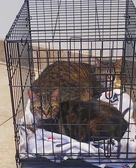 Fort Wayne Pet Hospital Picture 10