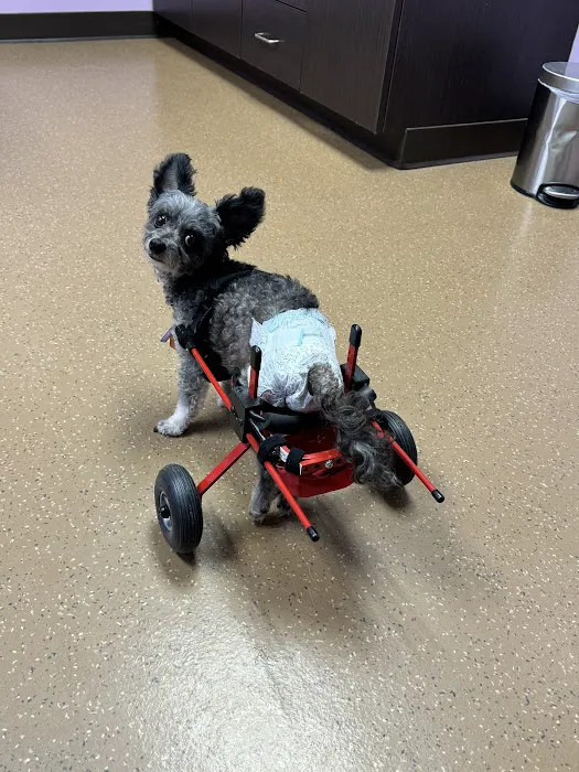Red Barn Veterinary Care Picture 6