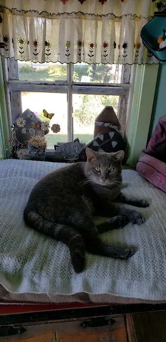 Bluffton Animal Clinic Picture 2