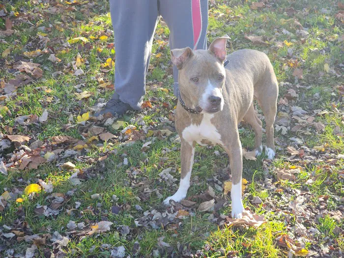 Bluffton Animal Clinic Picture 4