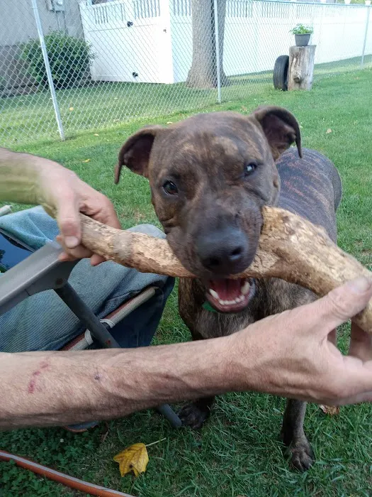 Bluffton Animal Clinic Picture 5