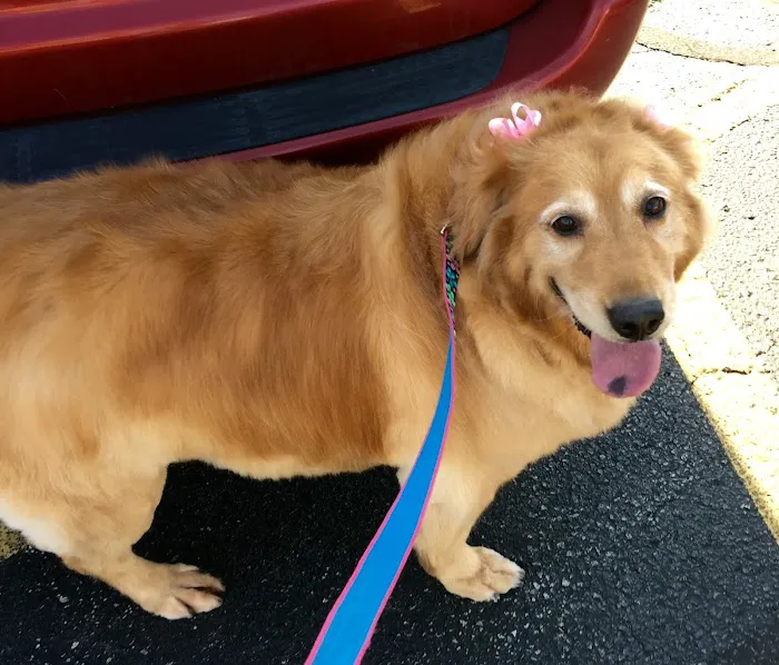 Bluffton Animal Clinic Picture 9