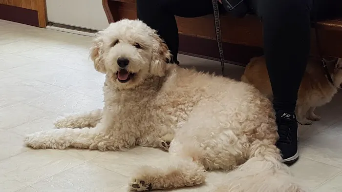 Eaton Veterinary Clinic Picture 2
