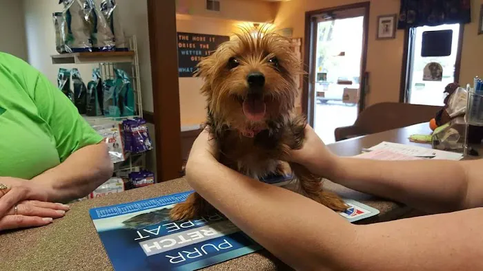 Hartford Animal Clinic Picture 1