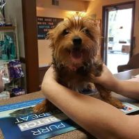 Hartford Animal Clinic ico