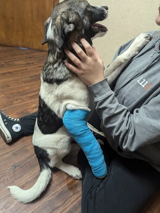 Hartford Animal Clinic Picture 5