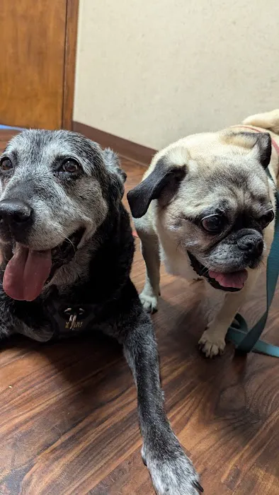 Hartford Animal Clinic Picture 7