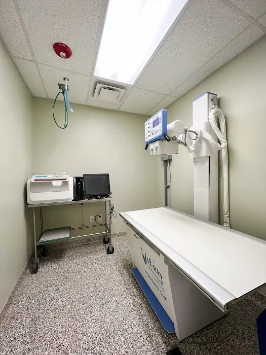 Maplewood Animal Hospital Picture 9