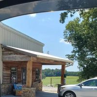 Martin Veterinary Services ico