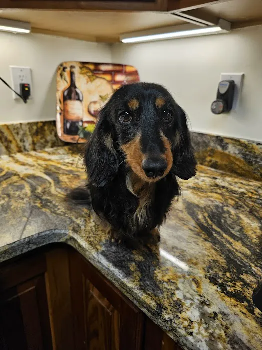 Martin Veterinary Services Picture 8