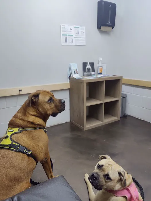 Martin Veterinary Services Picture 5