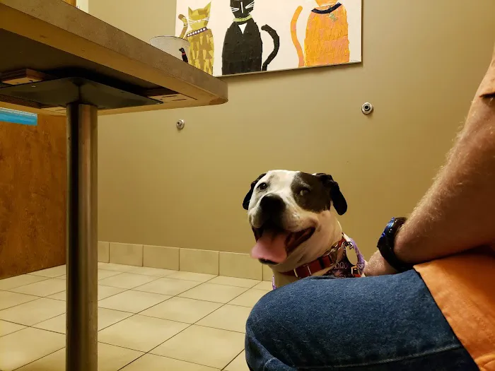 Walker Canine Care, LLC Picture 4