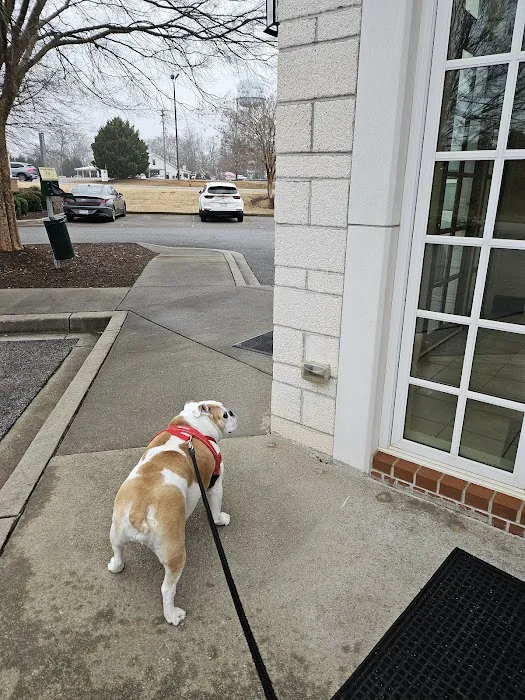Walker Canine Care, LLC Picture 9