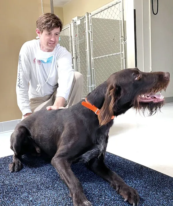Walker Canine Care, LLC Picture 7