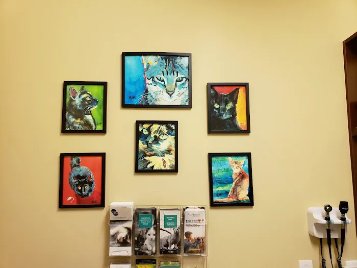 Walker Canine Care, LLC Picture 10