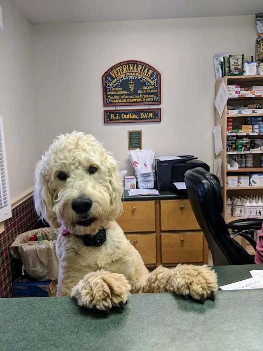 Outlaw Veterinary Clinic Picture 1