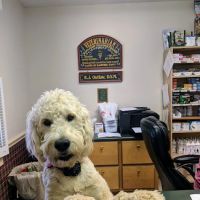 Outlaw Veterinary Clinic ico