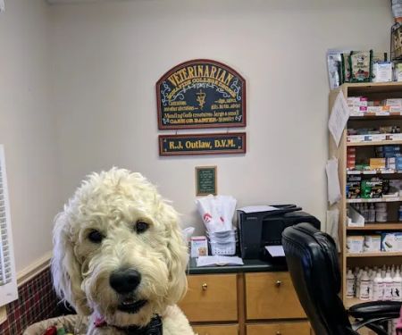 Outlaw Veterinary Clinic