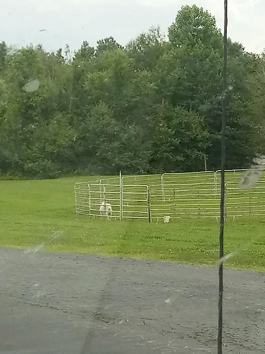 Outlaw Veterinary Clinic Picture 8