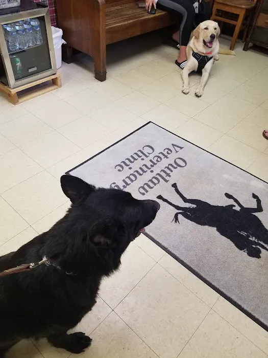 Outlaw Veterinary Clinic Picture 6
